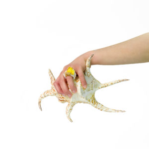 Leo ring with shell