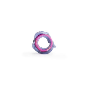 Fucsia ring