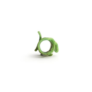 Kiwi ring